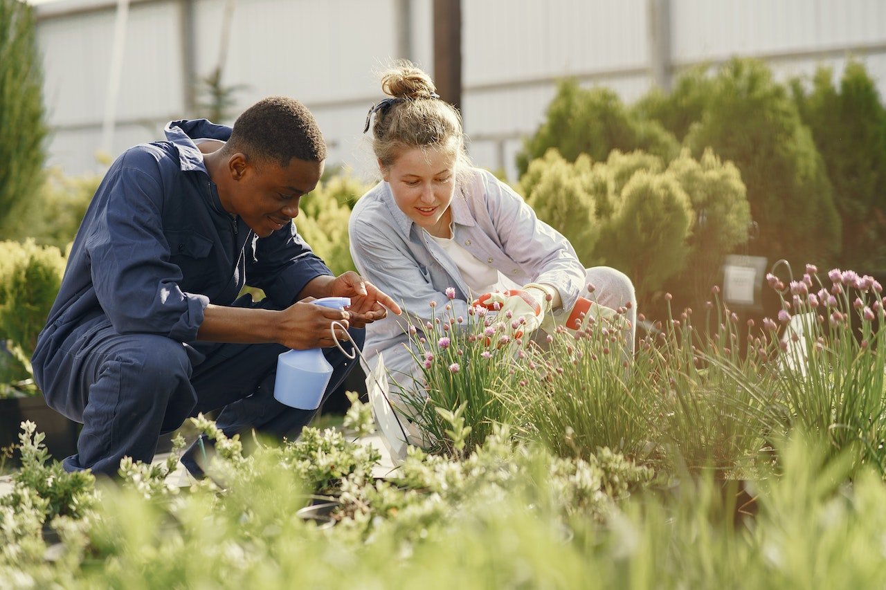 Digital Marketing for Gardeners | Birmingham Marketing Company